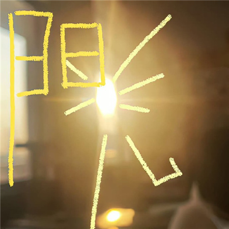 宠物小鸭子小知识图片